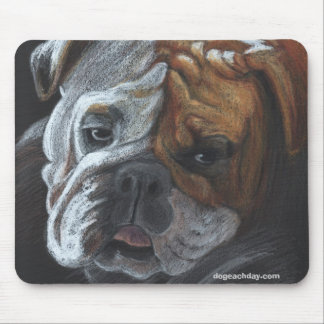 Roxie, dogeachday.com muismat