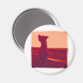 Roxy Foto door Daniela Magneet (Voorkant / Achterkant)