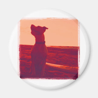 Roxy Foto door Daniela Magneet