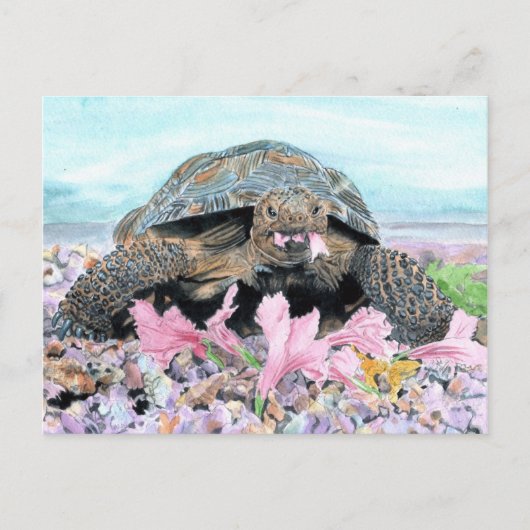 Roxy het Briefkaart van de schildpad (Voorkant)