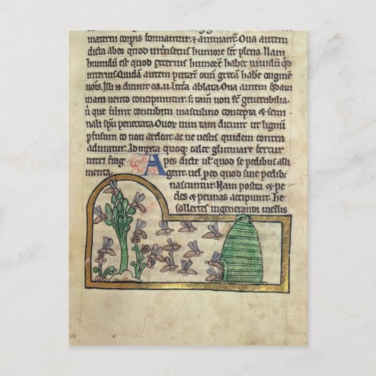 Roy Page of text met illustratie van Briefkaart (Voorkant)