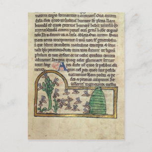 Roy Page of text met illustratie van Briefkaart