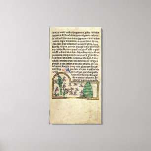 Roy Page of text met illustratie van Canvas Afdruk