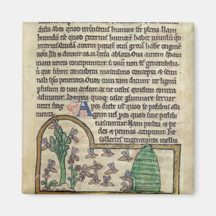 Roy Page of text met illustratie van Magneet
