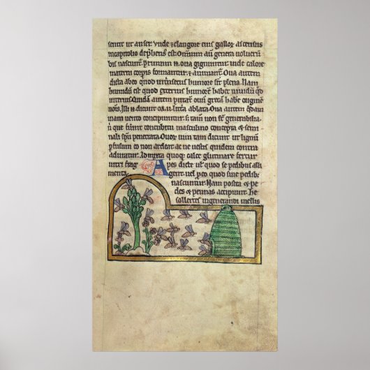 Roy Page of text met illustratie van Poster (Voorkant)