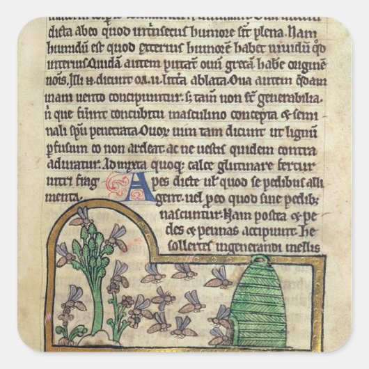Roy Page of text met illustratie van Vierkante Sticker (Voorkant)