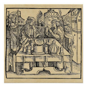 Royal Alchemist in het kasteel Poster