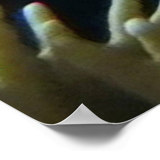 Royal Angel Fish Poster (Hoek)