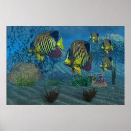 Royal Angelfish Print