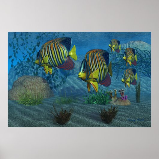 Royal Angelfish Print (Voorkant)
