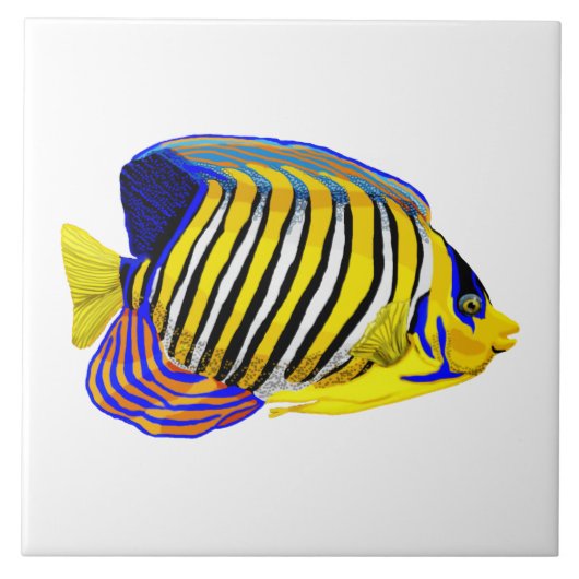 Royal Angelfish Tegeltje (Voorkant)