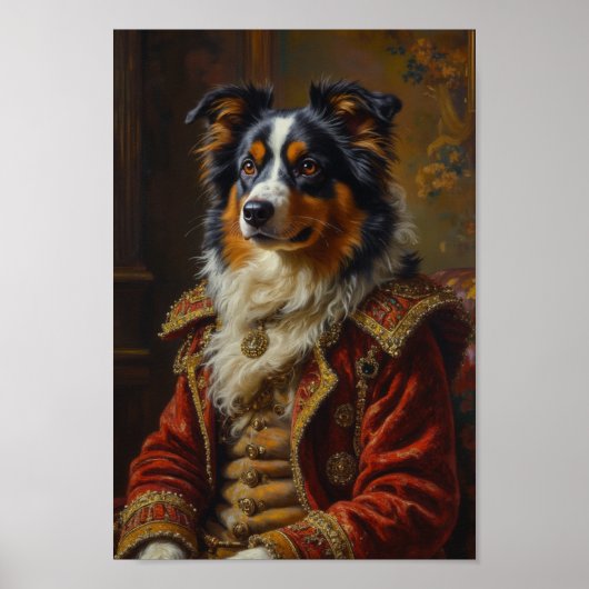 Royal Australian Shepherd Portrait Poster (Voorkant)