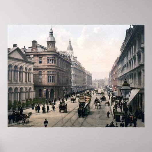 Royal Avenue, Belfast, circa 1890 Poster (Voorkant)