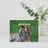 Royal Bengal Tiger Briefkaart (Staand voorkant)
