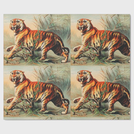 Royal Bengal Tiger Cadeaupapier (Vlak)