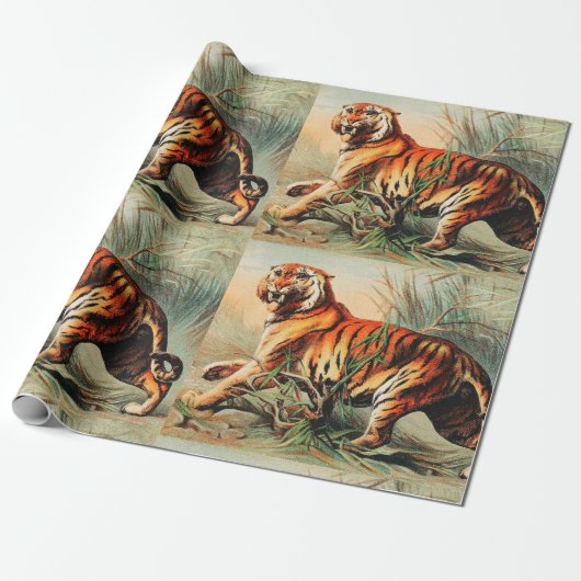 Royal Bengal Tiger Cadeaupapier (Uitgerold)