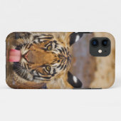 Royal Bengal Tiger cub, drinking water Case-Mate iPhone Case (Achterkant (horizontaal))