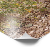 Royal Bengal Tiger die de boom beklimt, Foto Afdruk (Hoek)