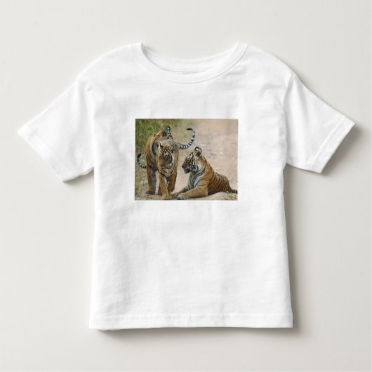 Royal Bengal Tiger en jongeren, Ranthambhor Kinder Shirts (Voorkant)