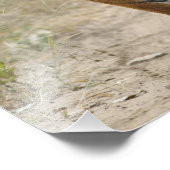 Royal Bengal Tiger en young, Ranthambhor Foto Afdruk (Hoek)