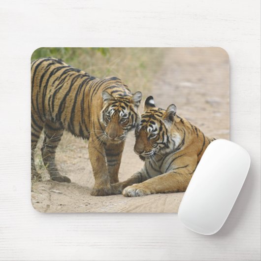 Royal Bengal Tiger en Young - Touch ahead, Muismat (Met muis)