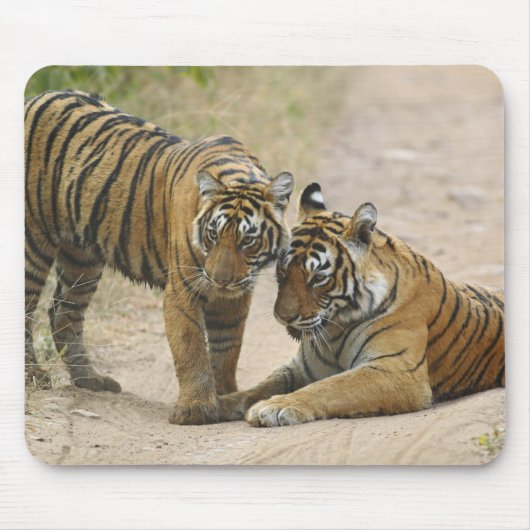 Royal Bengal Tiger en Young - Touch ahead, Muismat (Voorkant)
