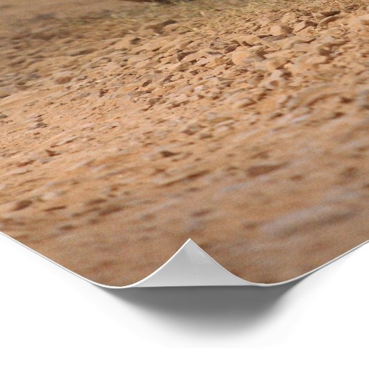 Royal Bengal Tigers in beweging, Ranthambhor Poster (Hoek)