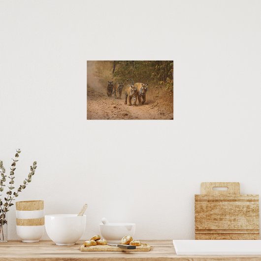 Royal Bengal Tigers in beweging, Ranthambhor Poster (Keuken)