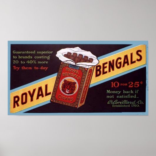 Royal Bengals Poster (Voorkant)