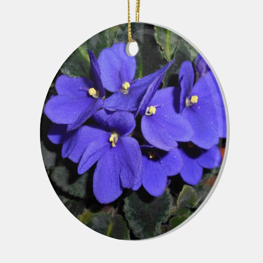 Royal Blue African Violet Keramisch Ornament (Links)
