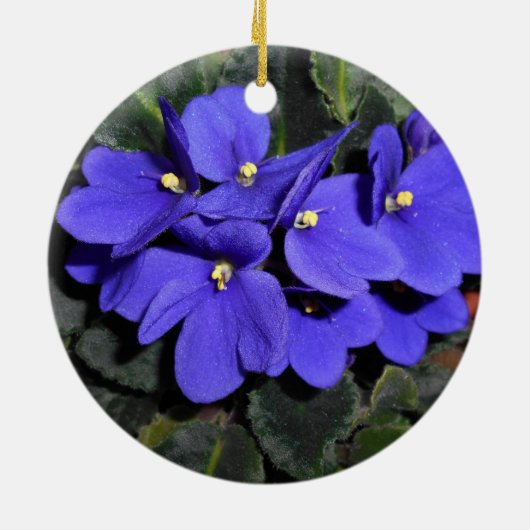 Royal Blue African Violet Keramisch Ornament (Achterkant)