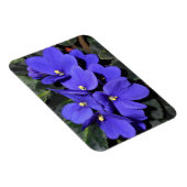Royal Blue African Violet Magneet (Rechterzijde)