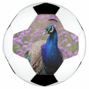 Royal Blue: blauwe pauw in lavendelveld, Voetbal