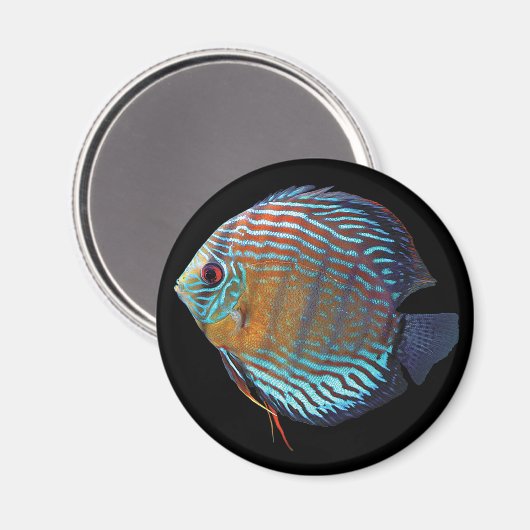 Royal Blue Discus Magneet (Voorkant / Achterkant)