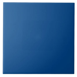Royal Blue, Ocean Depth | #00458A Tegeltje