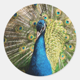 Royal Blue Peacock Ronde Sticker