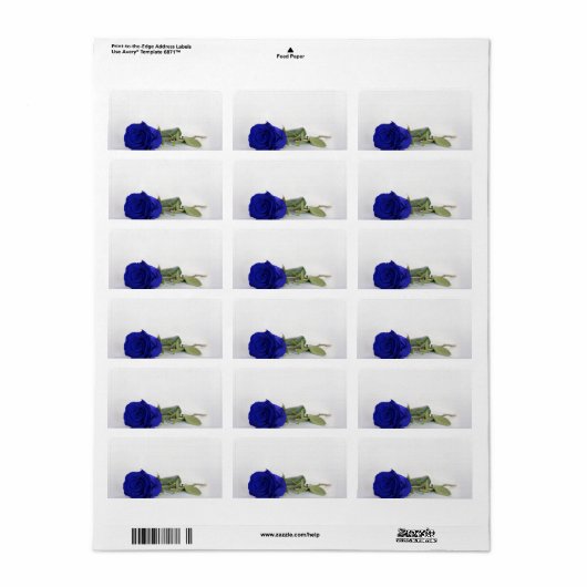 Royal Blue Roos Blank Bruiloft DIY Print Adres Etiket (Full Sheet)