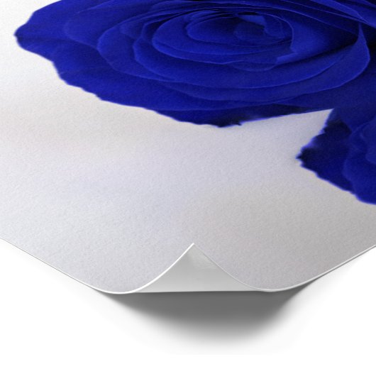 Royal Blue Roos Chic Unplugged Wedding Ceremony Poster (Hoek)