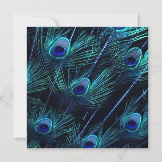 Royal Blue Zilver Royal Indian Peacock Bruiloft Kaart (Voorkant)