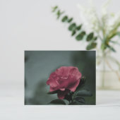 Royal Blush Briefkaart (Staand voorkant)