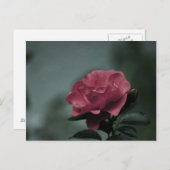 Royal Blush Briefkaart (Voorkant / Achterkant)