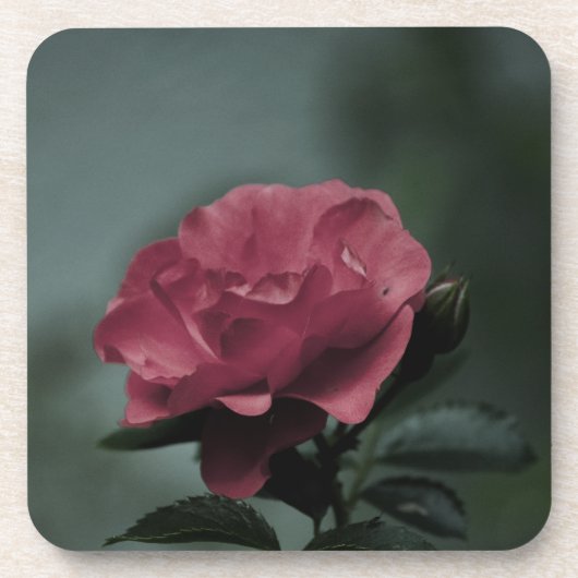 Royal Blush Cork Onderzetter (Voorkant)