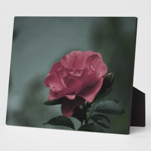 Royal Blush Plaque Fotoplaat (Zijkant)