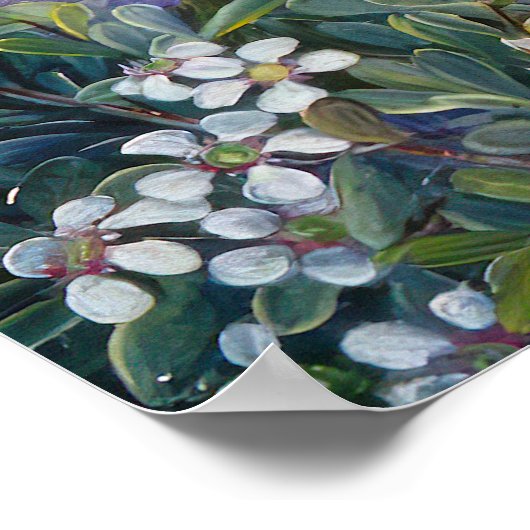 Royal Botanic door Marianne North Poster (Hoek)