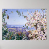 Royal Botanic door Marianne North Poster (Voorkant)