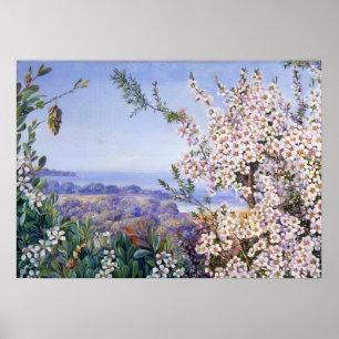 Royal Botanic door Marianne North Poster