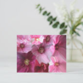 Royal Briefkaart (Staand voorkant)