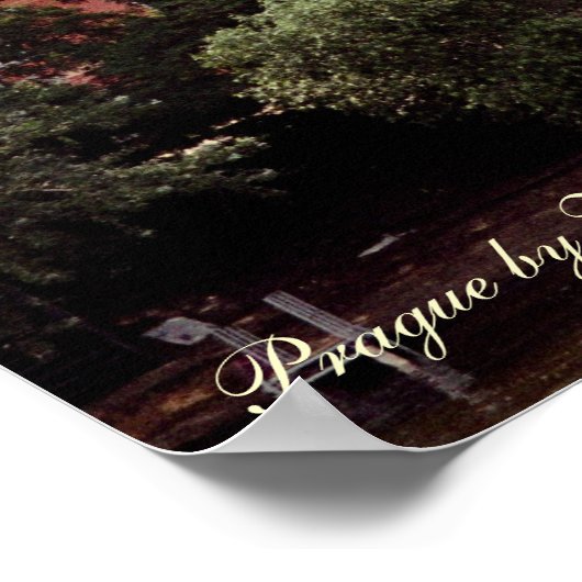 Royal Castle in Praag Poster (Hoek)