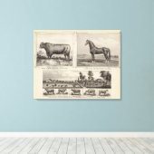 Royal Champion, Joe Young, Kansas Canvas Afdruk (Insitu (Houten vloer))