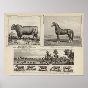 Royal Champion, Joe Young, Kansas Poster